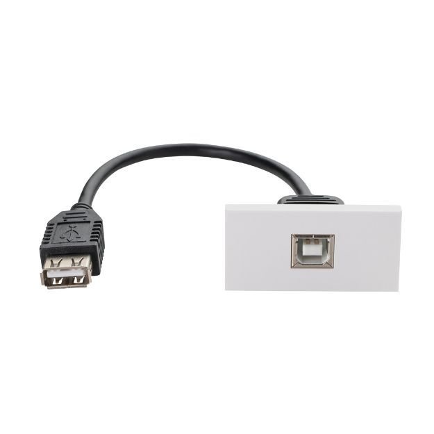 0.2m AV Snap-In USB 2 Type B Module 25 x 50mm - Socket to Socket - White